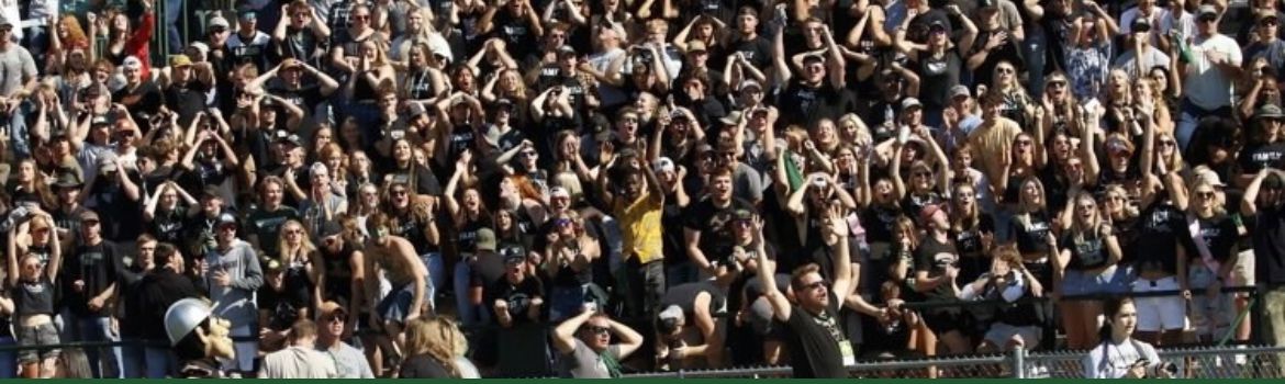 Blackout Fans