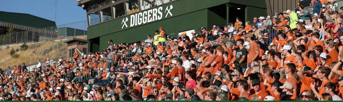 Diggers crowd